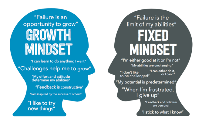 Carol Dweck - Growth en Fixed minset