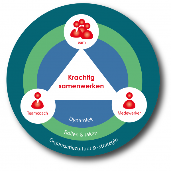 Model voor krachtig samenwerken. In het midden van een driehoek staat ‘Krachtig samenwerken’, gedragen door drie rollen: team, teamcoach en medewerker. De driehoek ligt binnen drie concentrische cirkels met de lagen: dynamiek, rollen en taken, en organisatiecultuur en -strategie.