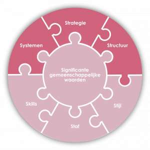 Dit is het 7S-model van McKinsey. Dit model is een managementmodel waarmee je analyseert hoe verschillende onderdelen van een organisatie samenhangen.