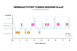 Grafiek die onze hersenactiviteit tijdens gezonde slaap weergeeft. In het begin van de nacht ervaren we diepe slaap, dit wordt ook wel de herstellende fase genoemd. De tweede slaapfase is remslaap, een fase waarin het mentale herstel plaatsvindt. De remslaap komt gedurende de nacht vaker voor. De laatste slaapfase is de lichte slaap. Deze komt ook gedurende de nacht vaker voor. Dit is dan ook de reden waarom je soms 's nachts uit het niets wakker wordt. De lichte slaap zorgt verder voor ontspanning van het lichaam.